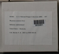 Image Associated With the Occurence